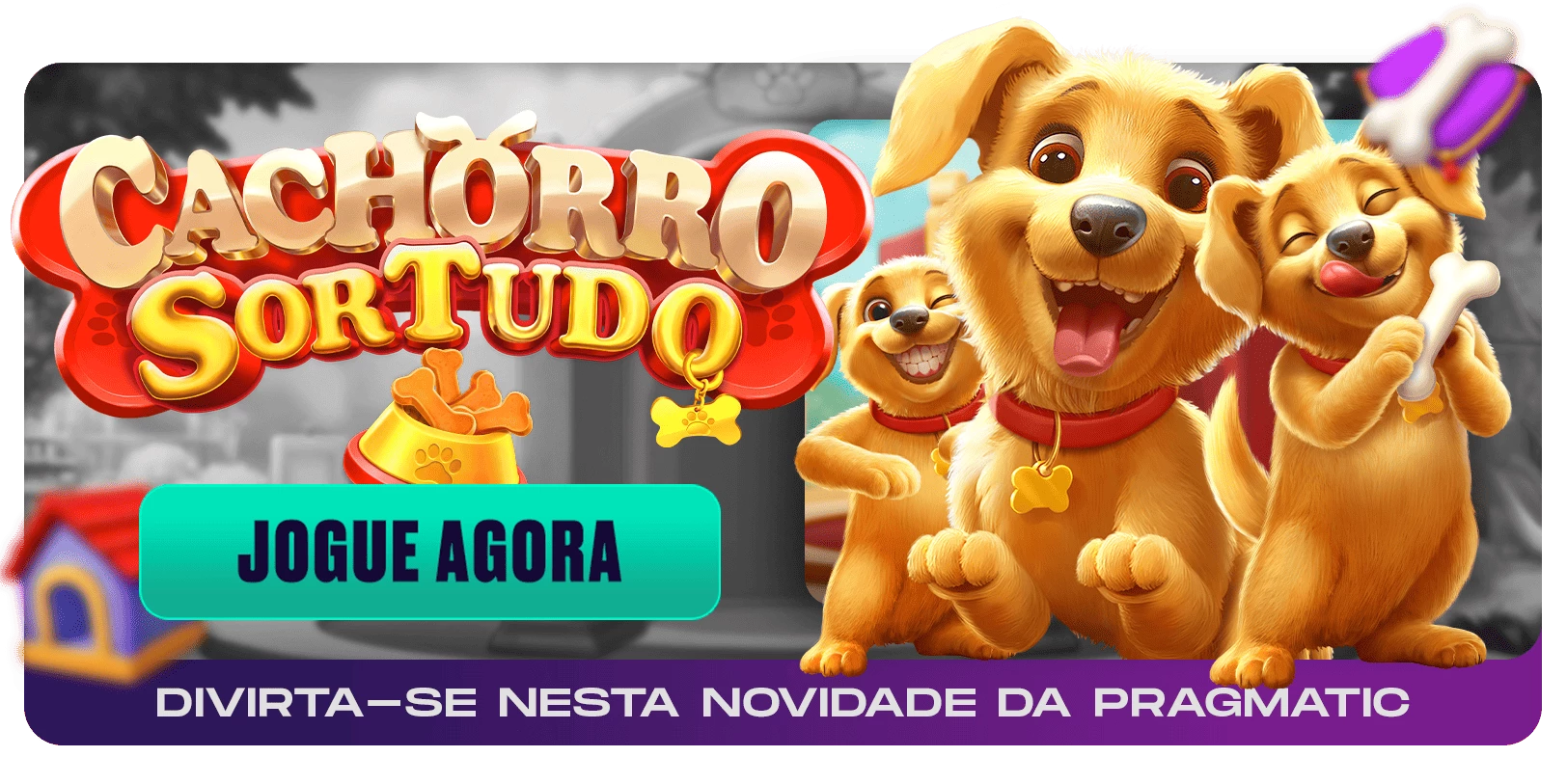 5937-h2betbannertesteabacassinocachorro-17482721919355.png